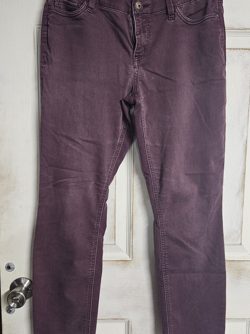 Liz Claiborne Women's Jeans in Plum